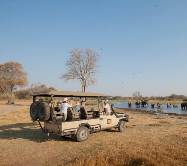Golden-Africa-Safaris-Out-in-the-bush-34-600x533-1